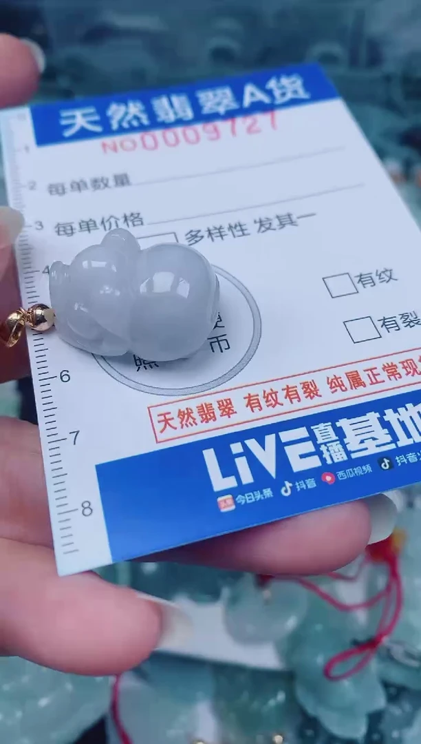 颈饰未镶嵌翡翠00009727