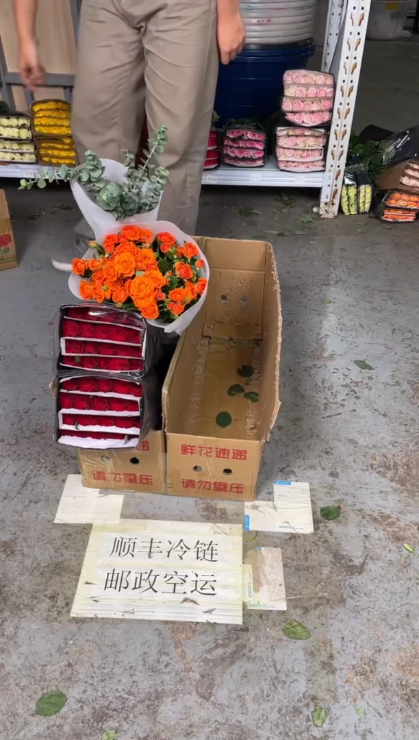 高原红7扎+橙芭比3扎+尤加利