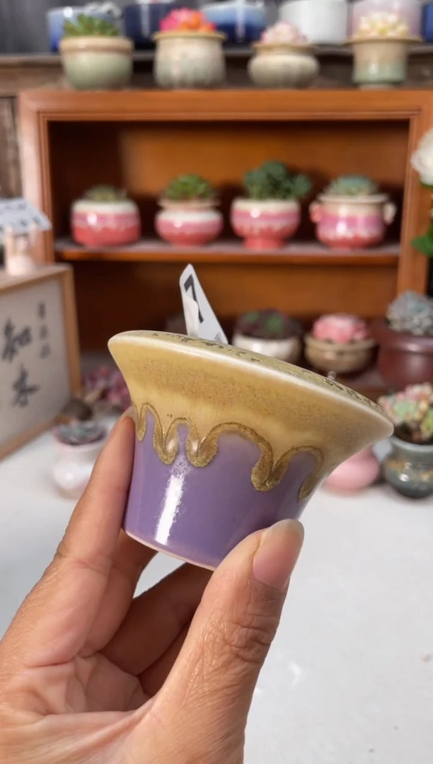 瓷片697知木小芳花盆