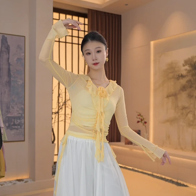 古典舞喇叭长袖舞蹈练功服女成人弹力网纱飘逸现代舞上衣民族舞服
