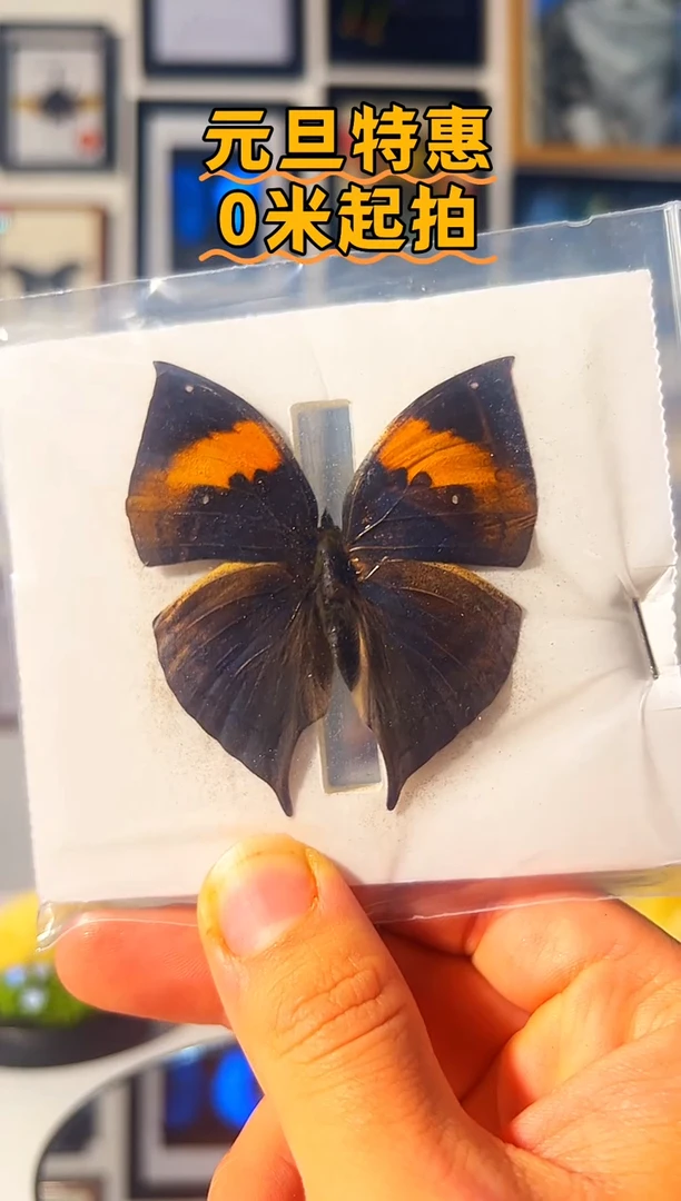 有机玻璃768646846