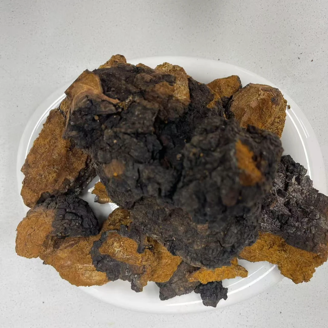 深山桦树茸500克DAN