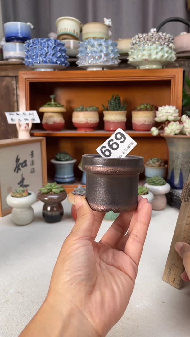瓷片669小芳花盆直播编号