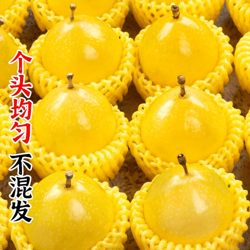 特大果A+级3/5斤百香果黄金钦蜜9号大果特原浆水果甜现摘广