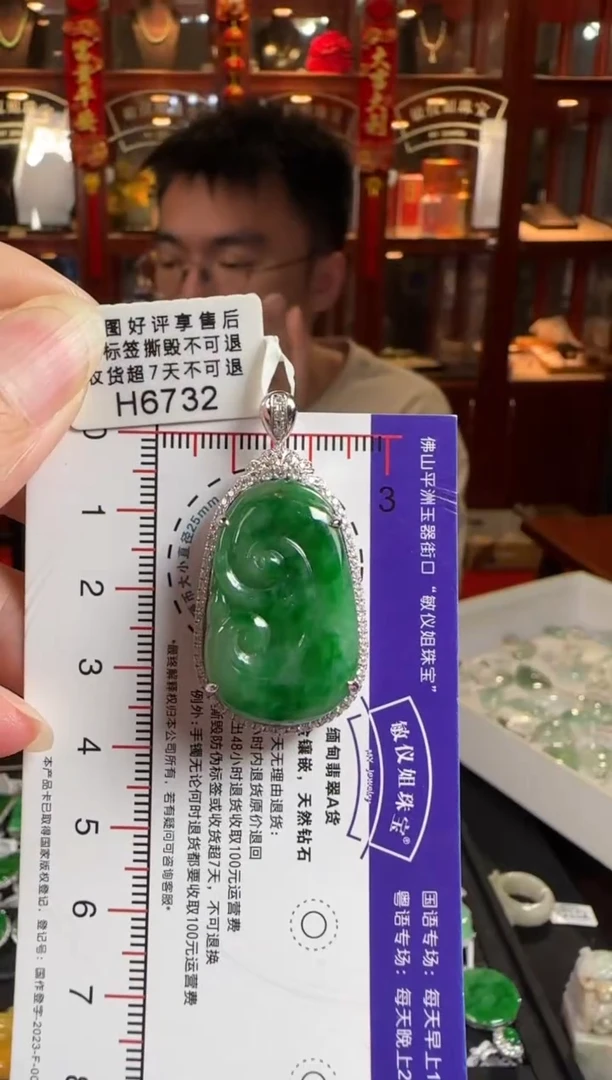 颈饰18K金镶嵌翡翠H6732 辣绿如意