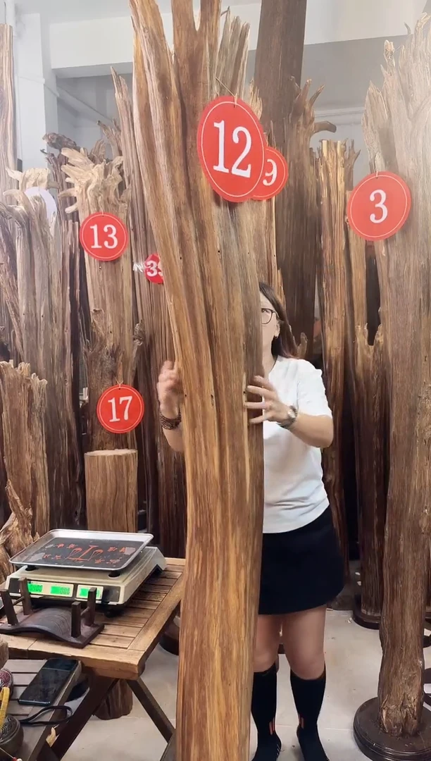 沉香沉香碎屑多样性发一件