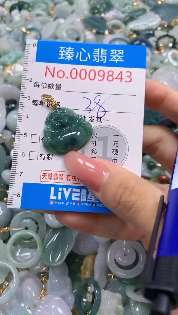 翡翠未镶嵌颈饰9843