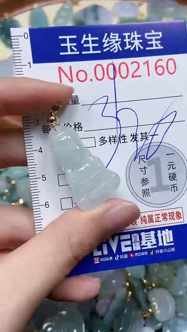 【闪购商品】翡翠颈饰未镶嵌闪购00002160