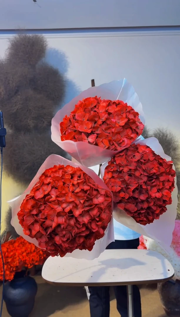 96  山前小麦 · 永生大叶绣球3枝 红 S＋