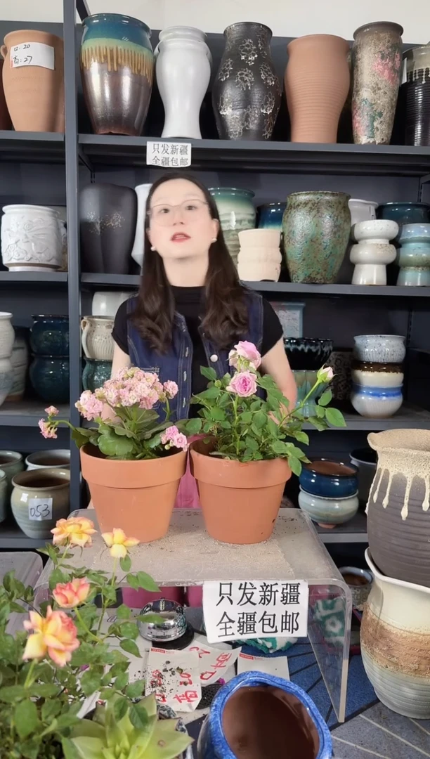 福利-红陶盆两个装口14高12