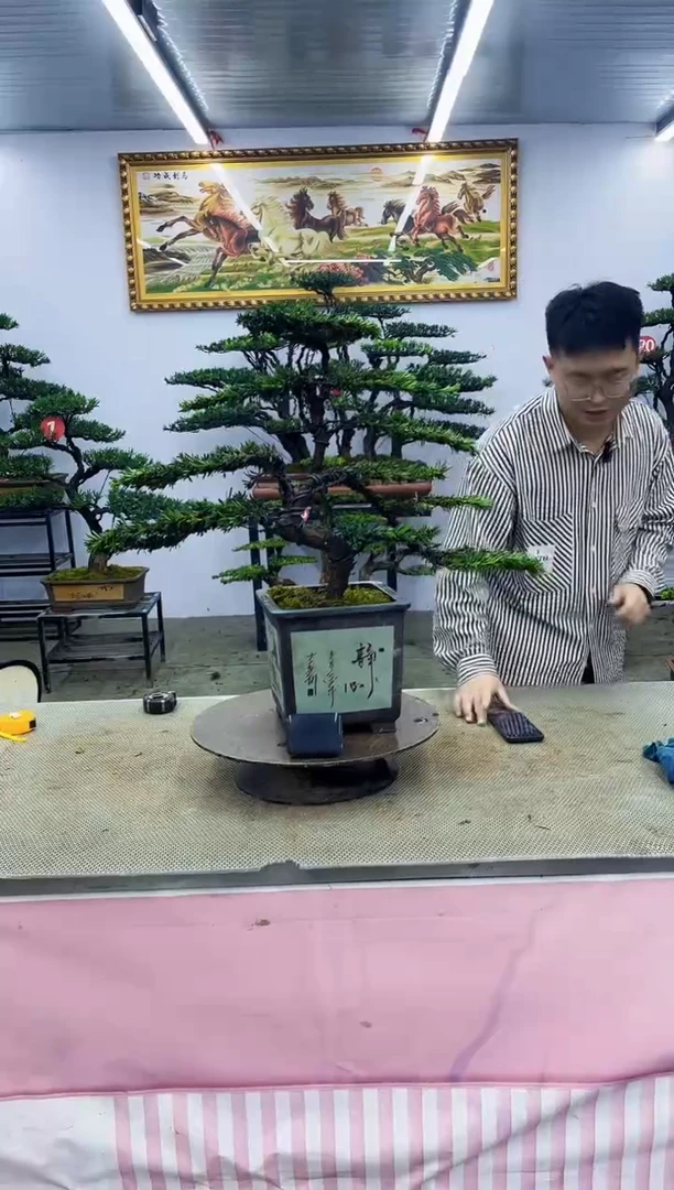 无花朵一物一拍，所见即所得