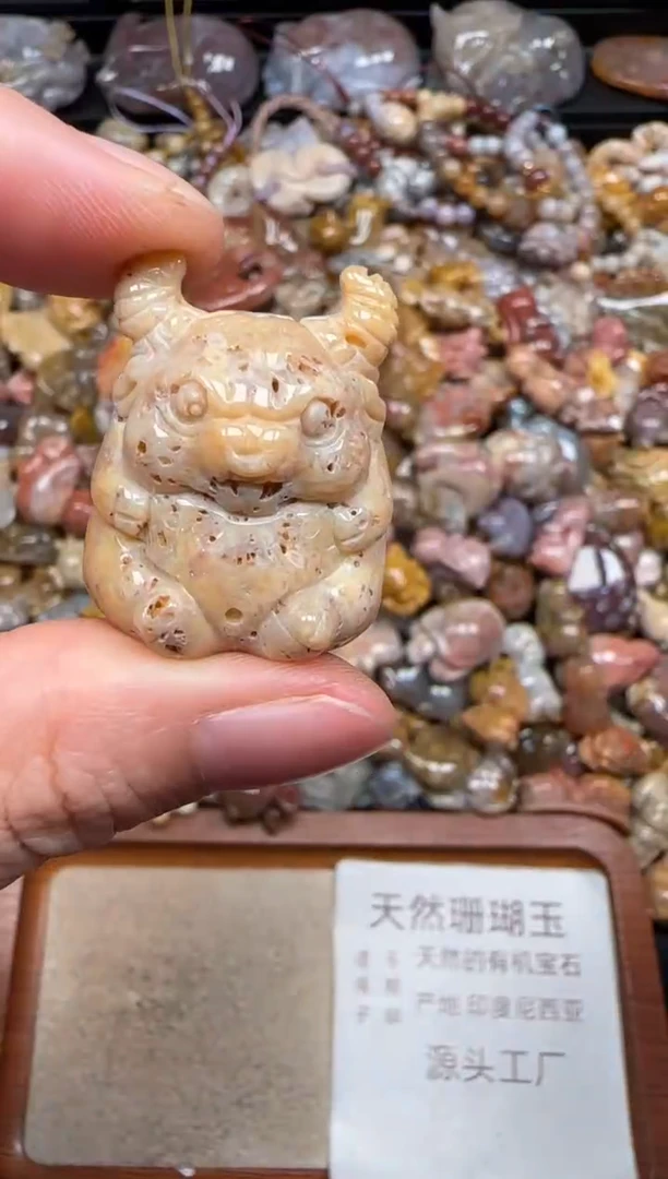 硅化珊瑚（珊瑚玉）未镶嵌颈饰295