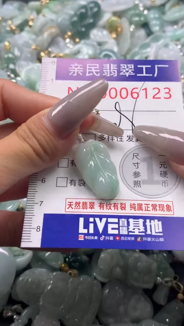 颈饰未镶嵌翡翠6123