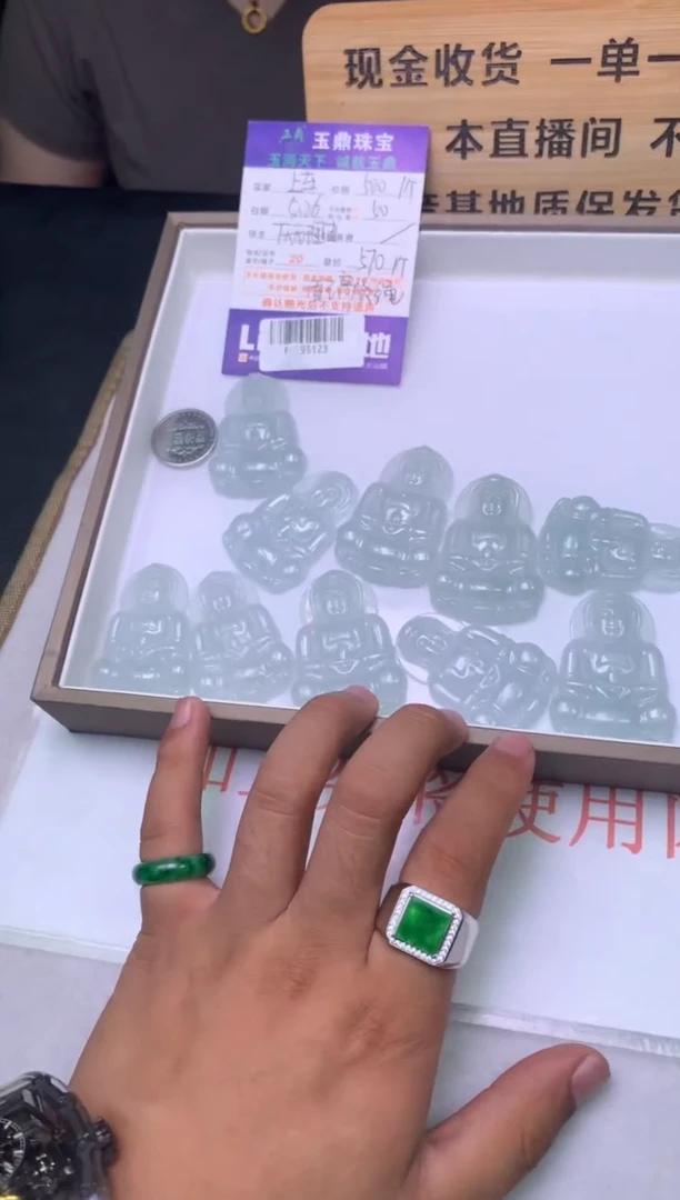 翡翠未镶嵌吊坠(不含链)多样性发其一-F0195123