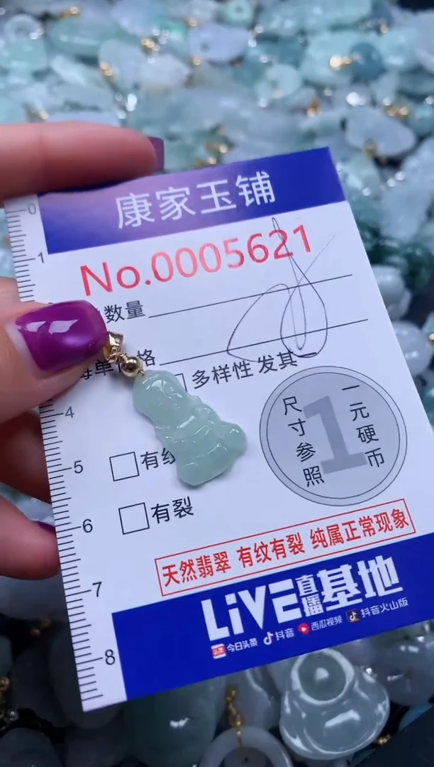 颈饰未镶嵌翡翠5621