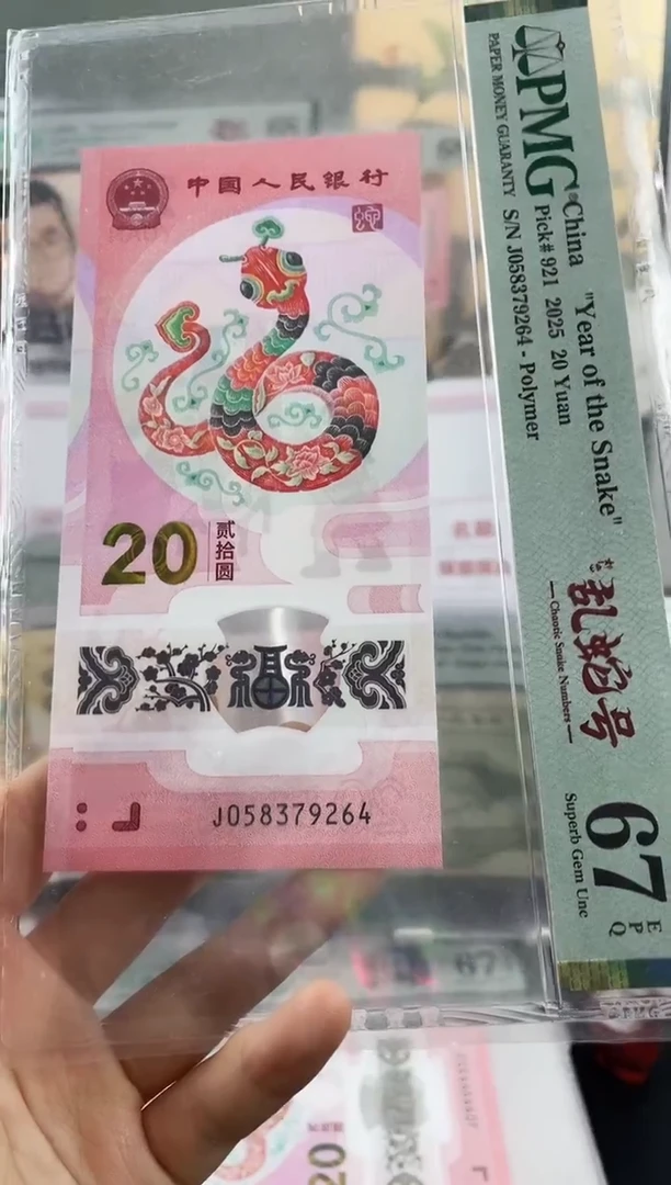 塑料蛇钞地龙号67分