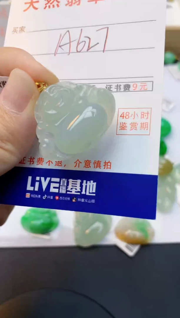 颈饰18K金镶嵌翡翠天然缅甸A货翡翠百元以上9元证书费自理