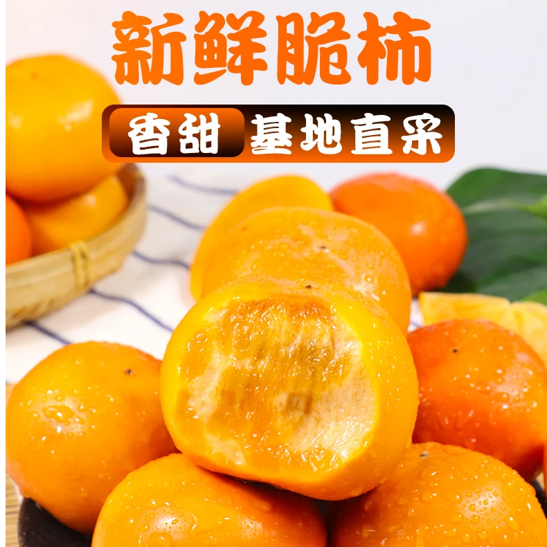 正宗陕西阳丰巧克力脆柿新鲜脆甜柿子脆甜爽口产地现摘现发