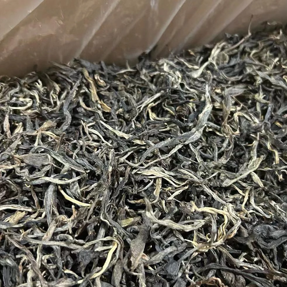 隐秘山头大高货【南落河大古树】2019年，1200克春茶