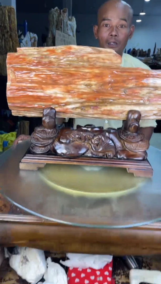 未镶嵌摆件硅化玉65