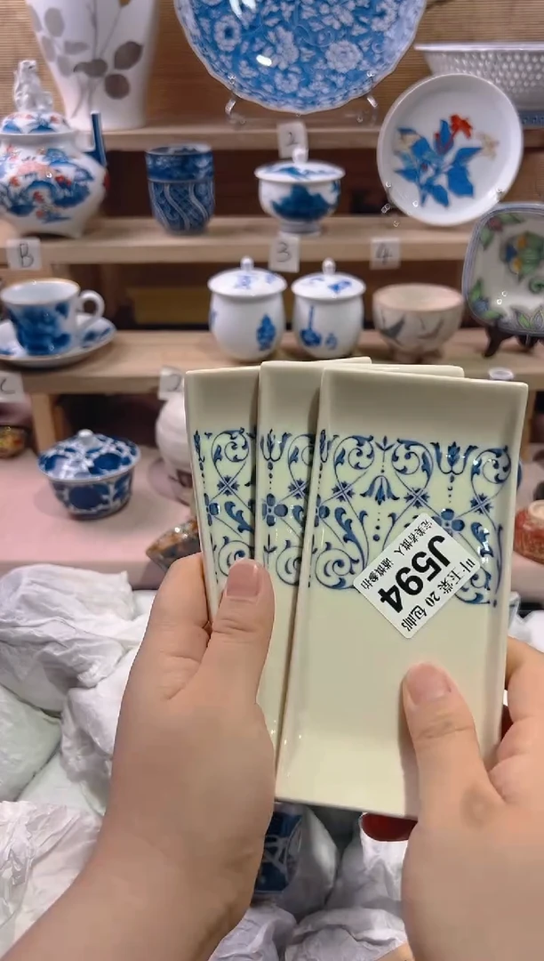 瓷片           J594