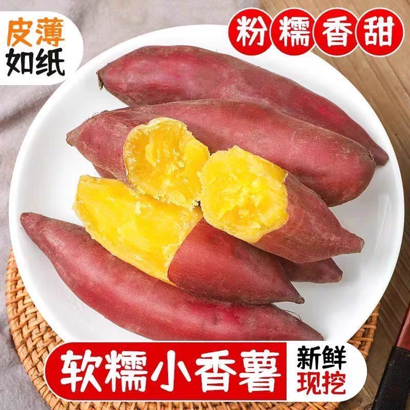 正宗天目山5斤小香署地瓜板栗农家番新鲜现挖黄心蜜薯红署