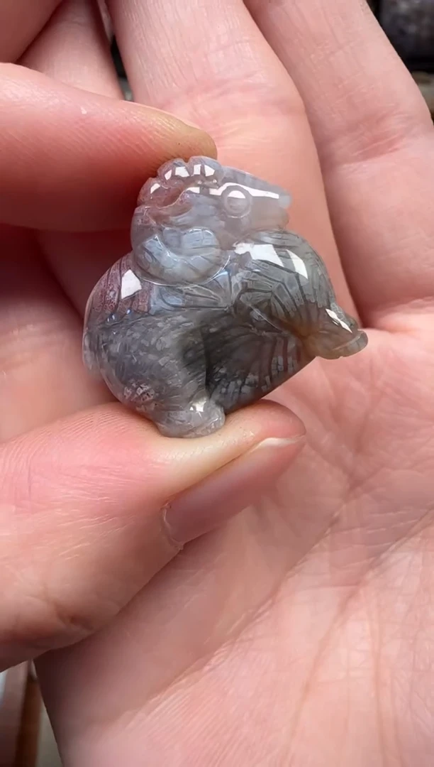 颈饰未镶嵌硅化珊瑚（珊瑚玉）205