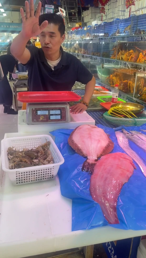 中国大陆鲜活古巴龙虾3只，2.3斤