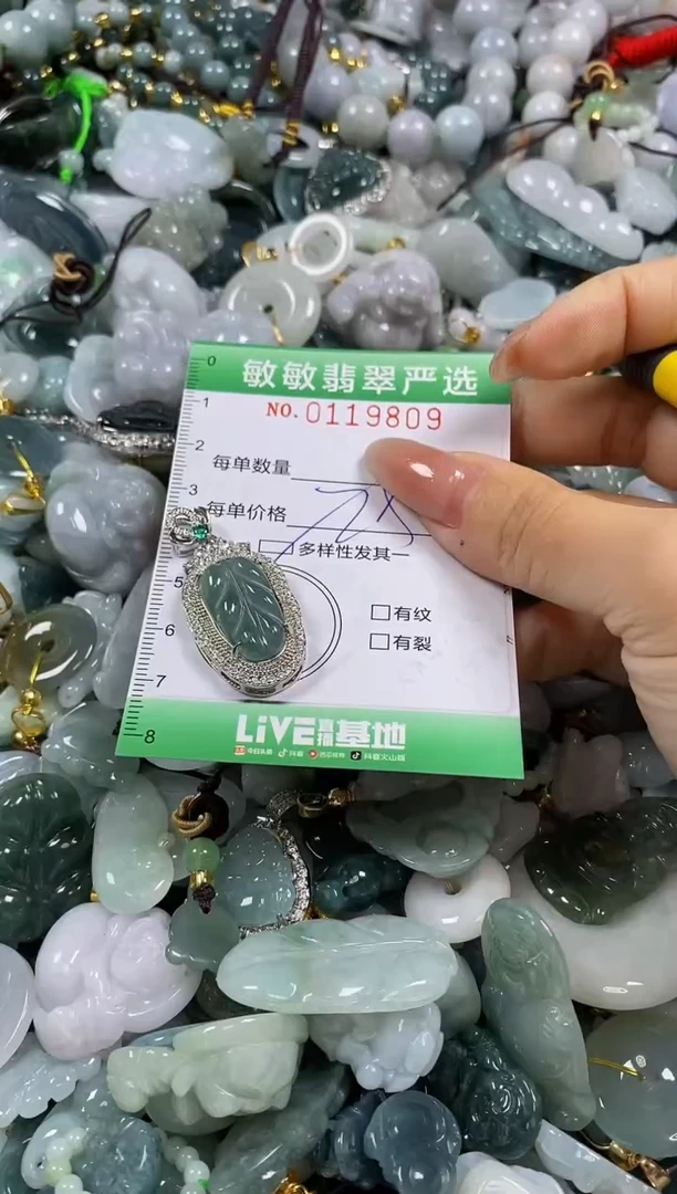 【闪购商品】翡翠颈饰未镶嵌闪购0119809多样性发其一