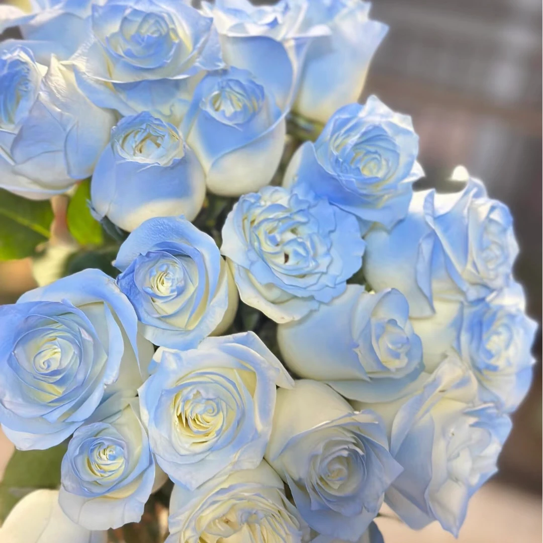 【碎冰蓝玫瑰】同地址两单升级冷链送货上门