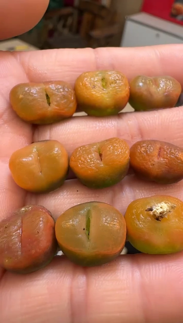 【闪购商品】19-12蟠桃一颗