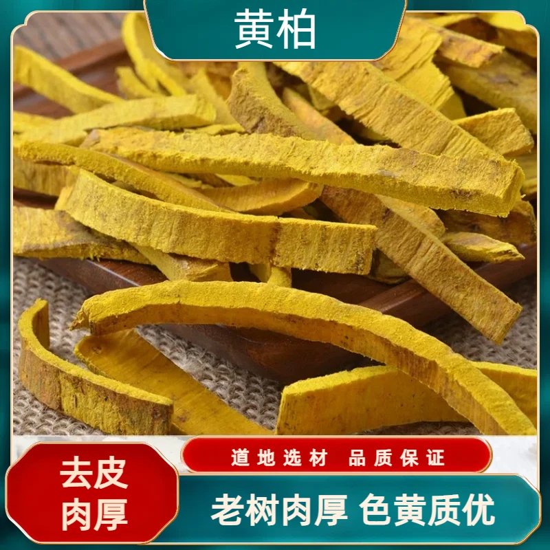 黄柏 老树厚皮无硫去粗皮