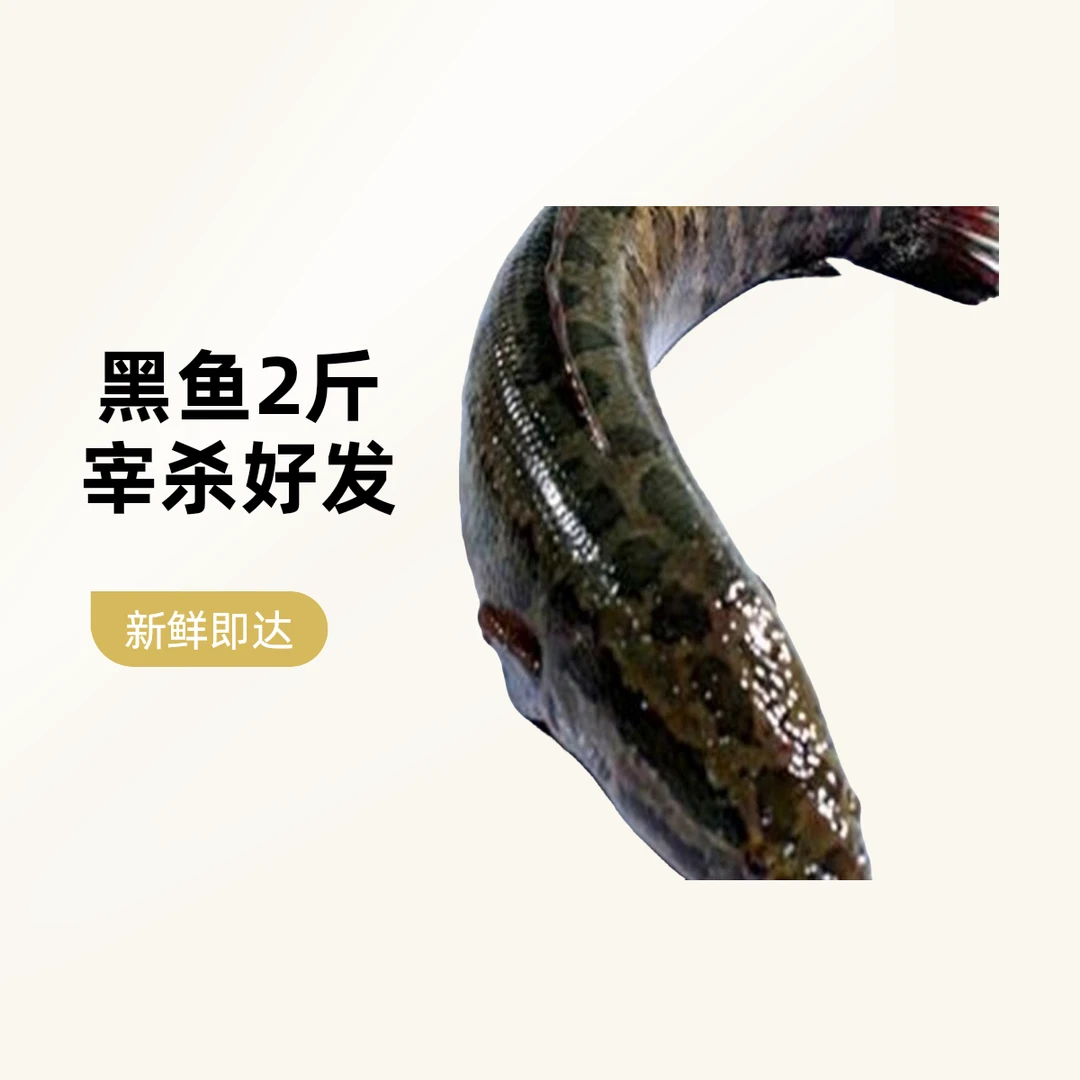 航行海鲜《鲜活》黑鱼生鱼默认宰杀好发货需要切片请备注