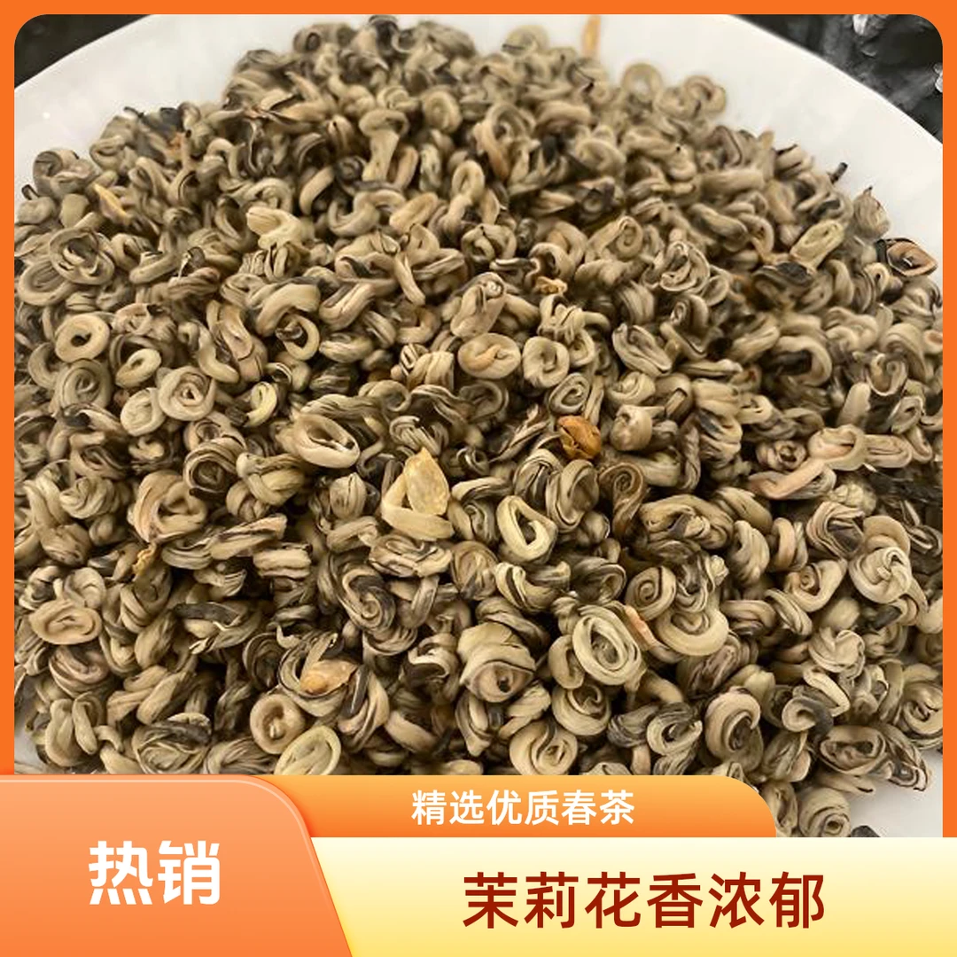 2025新茶茉莉花茶袖珍玉螺全芽尖新花浓香耐泡型