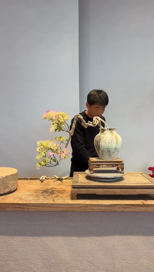 以实际为准三角梅9