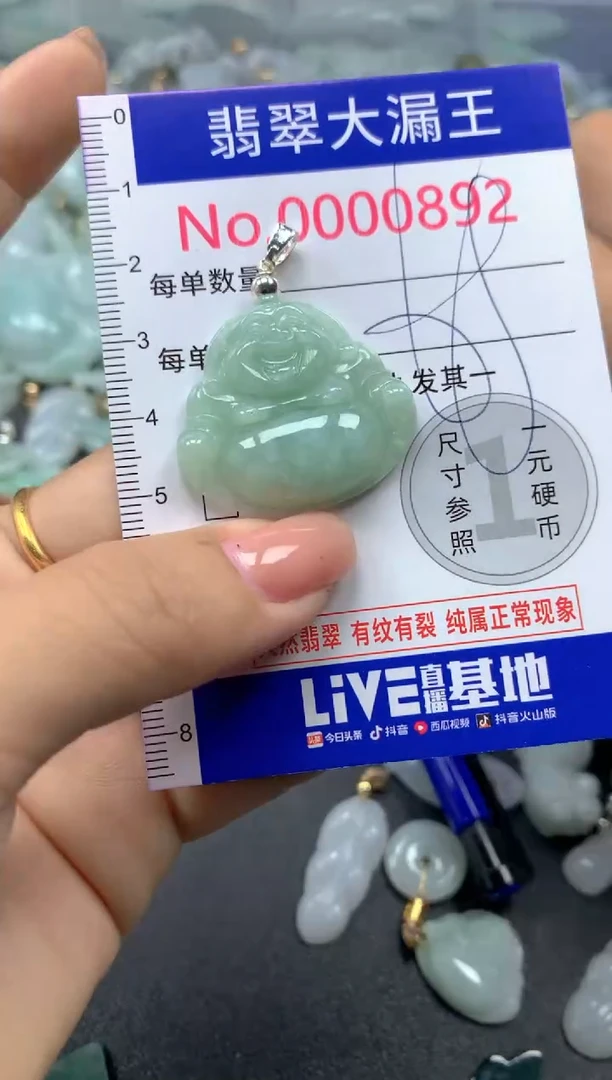 颈饰未镶嵌翡翠892