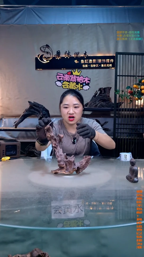 摆件景沐沉木B297景沐沉木B297