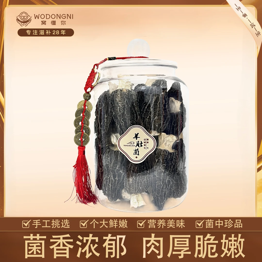 窝懂你精选大个头羊肚菌