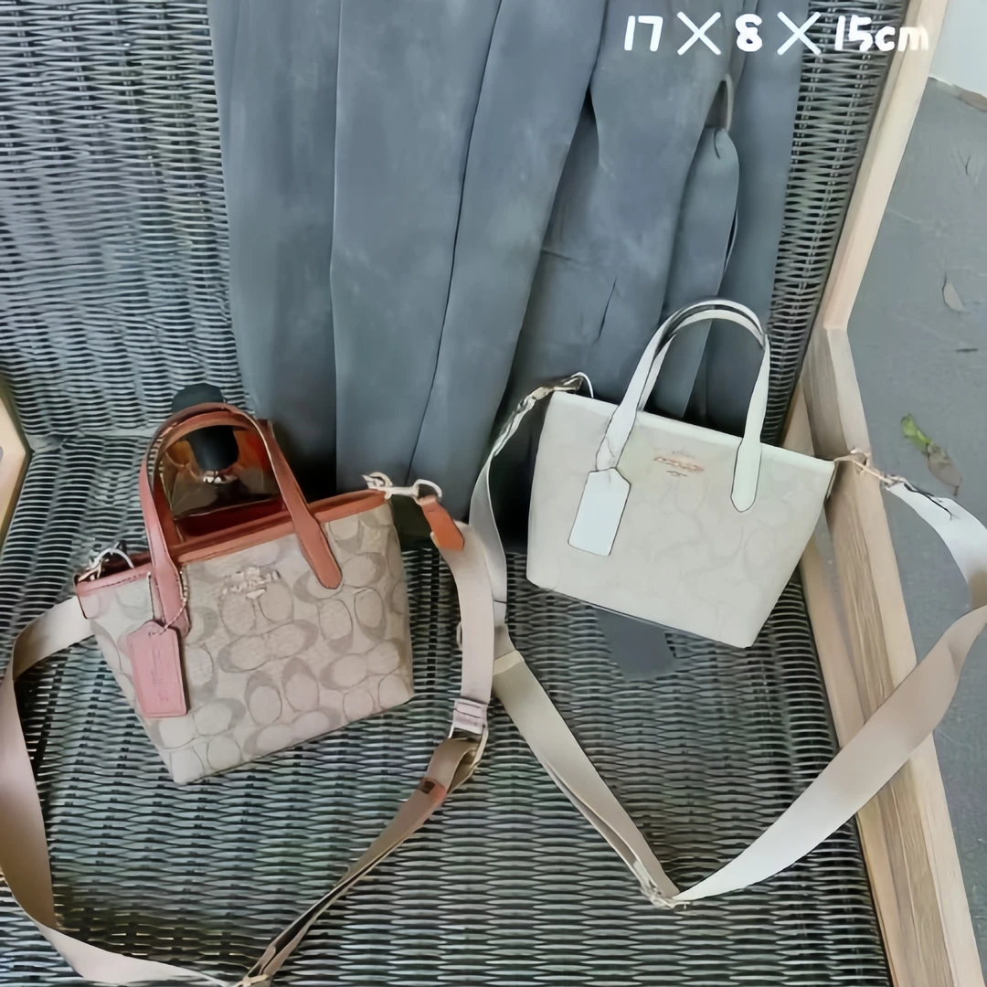 【14号】网红爆款百搭手提包8119