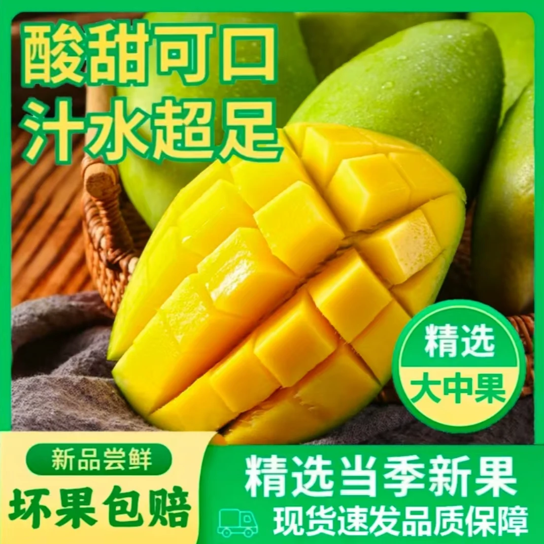 【催熟后食用】新鲜现摘果园海南金煌芒果产地直发整箱多仓库发货