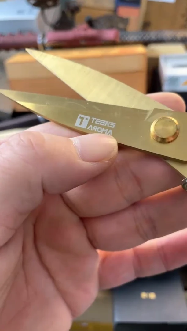 【闪购商品】瓷片绿 郑正杂货品质保证