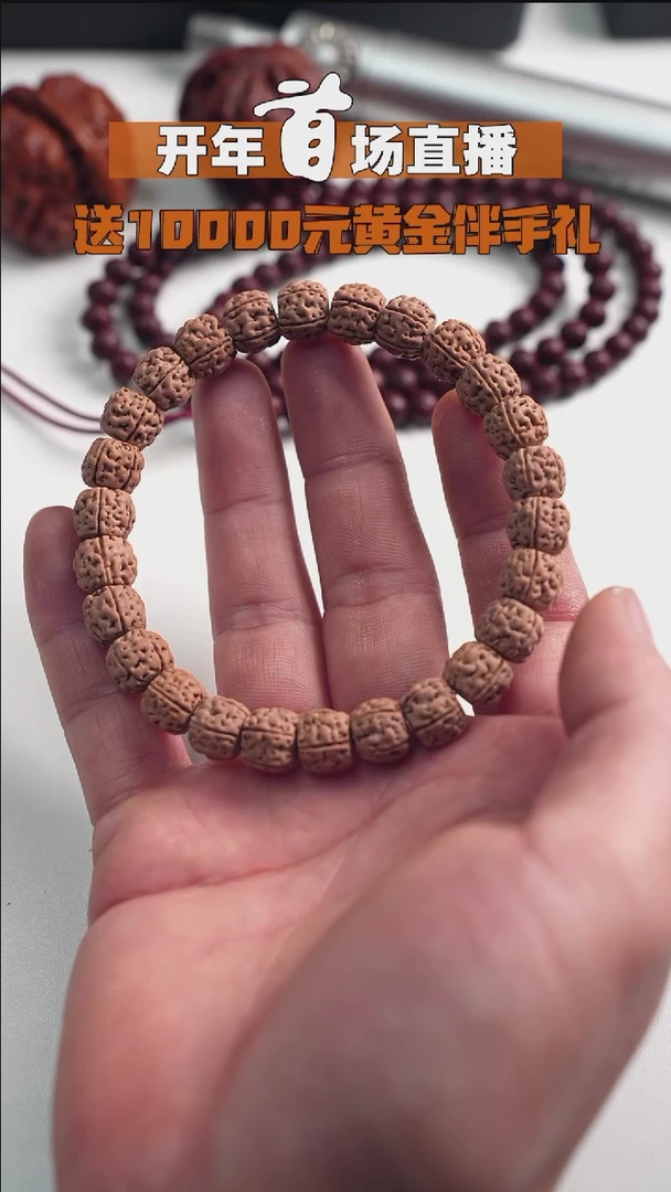 【闪购商品】金刚菩提手串盘龙纹-流畅度高-10mm
