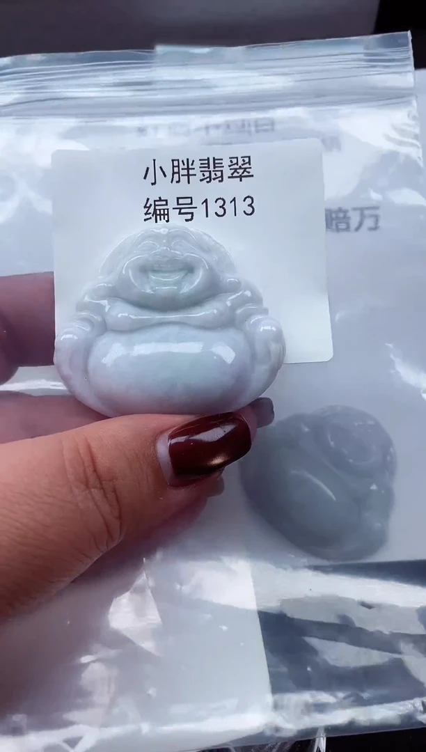 颈饰未镶嵌翡翠缅甸天然A货翡翠1313