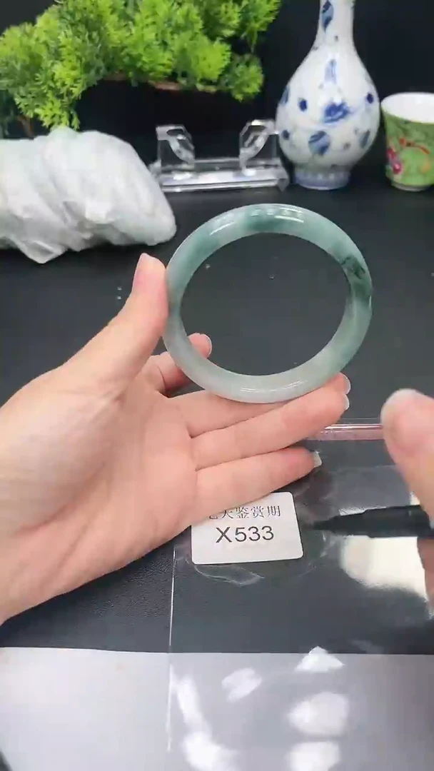 未镶嵌手镯翡翠533