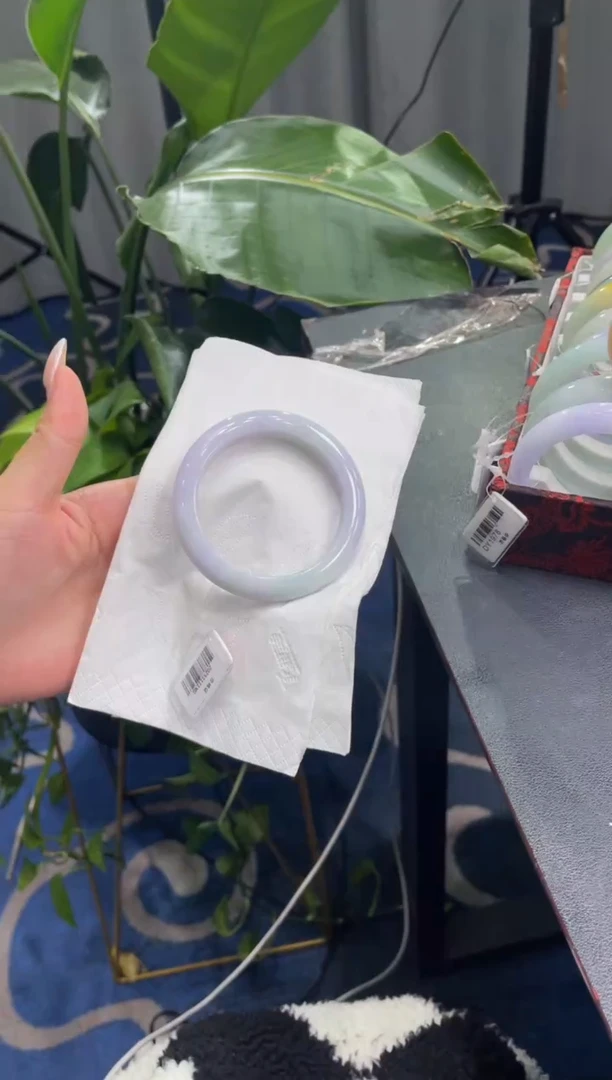 未镶嵌手镯翡翠5904****