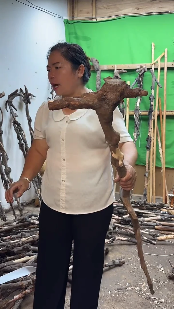 用****61111111111111