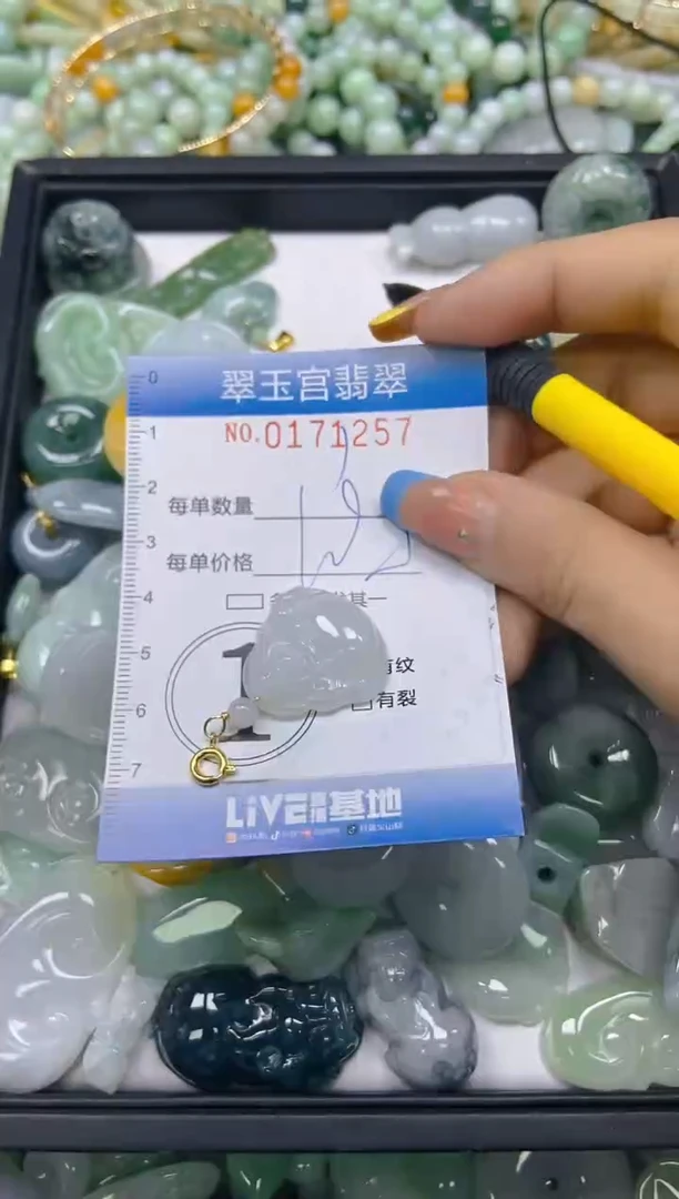 翡翠未镶嵌颈饰闪购0171257