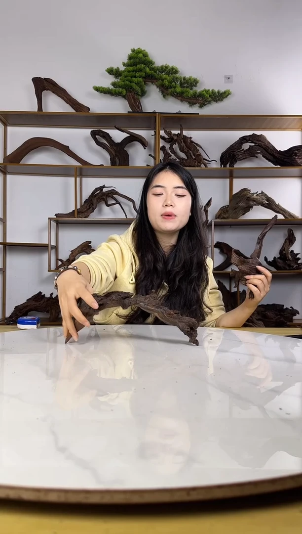 千**发拍沉木定向链接编号25