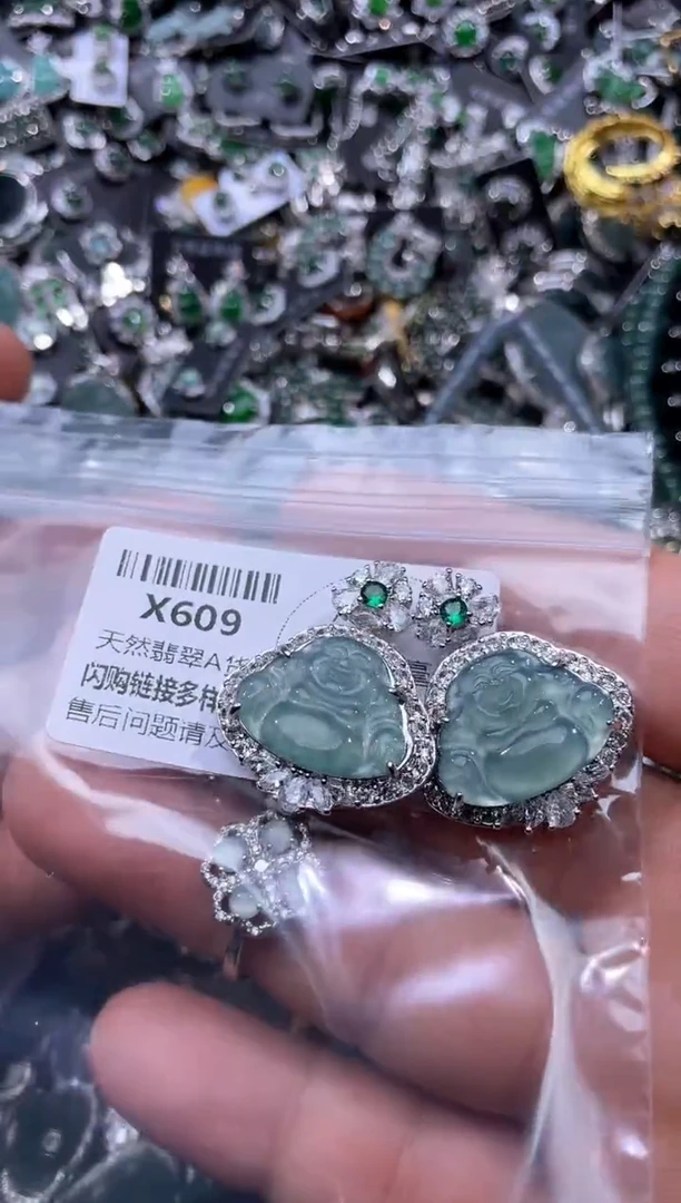 【闪购商品】翡翠颈饰未镶嵌X609多样性发其一