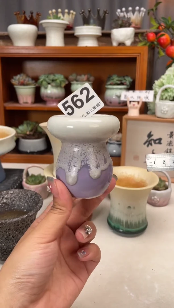 瓷片562知木小芳花盆编号